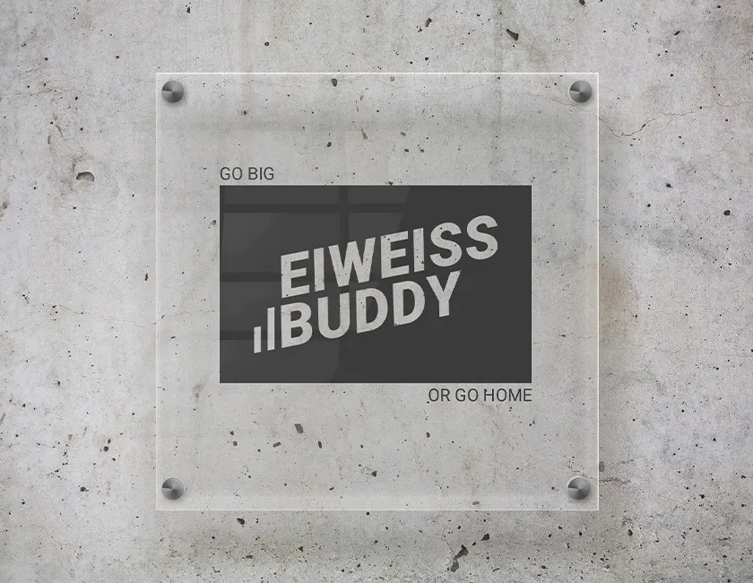 Markenmaterial von Eiweiss Buddy mit Farbwelt und grafischen Elementen